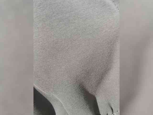Vi-Eva webcam