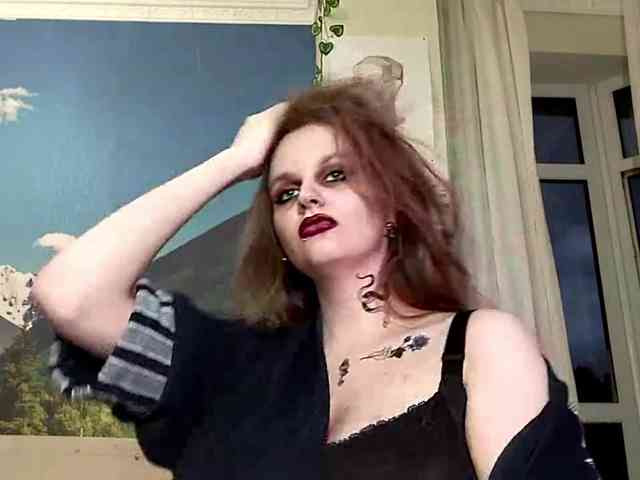 VirgieTaker webcam