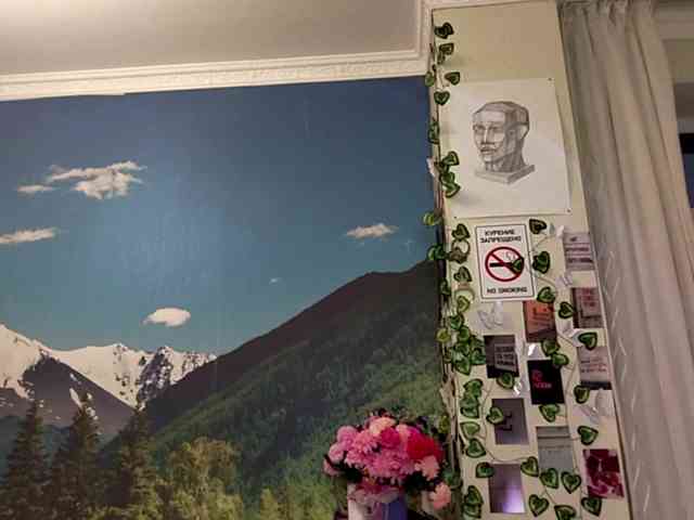 VirgieTaker webcam