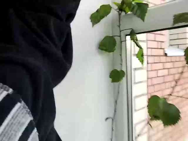 VirgieTaker webcam