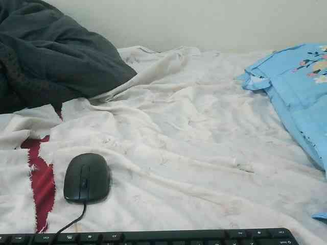 Sasyqueen webcam