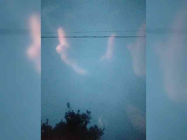 4Dayana webcam