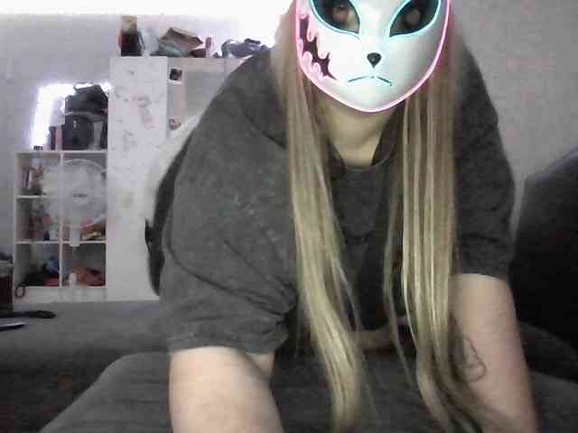 -Cally-cat- webcam