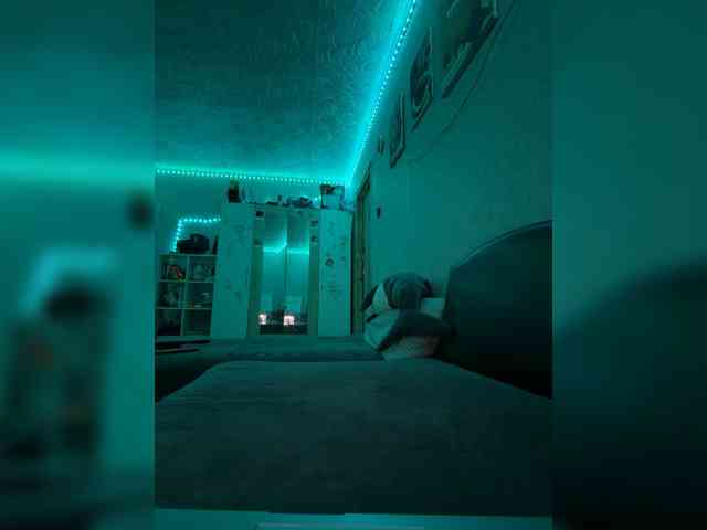 -Cally-cat- webcam