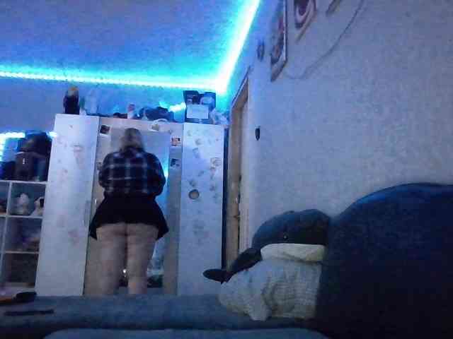 -Cally-cat- webcam