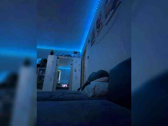 -Cally-cat- webcam