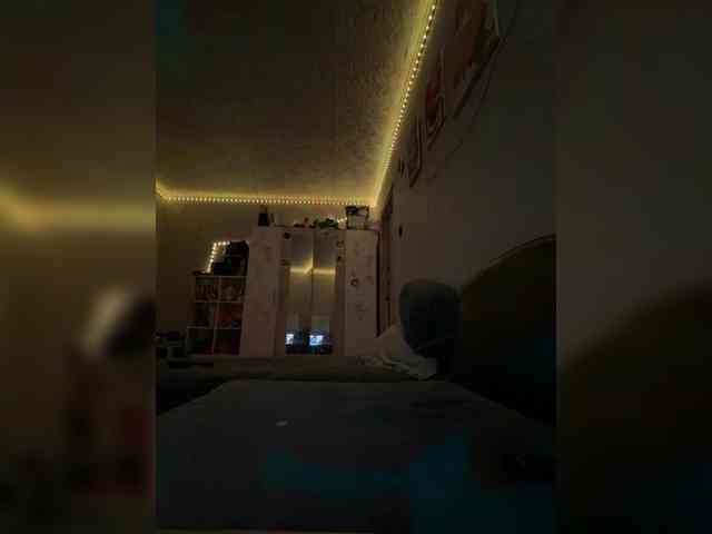 -Cally-cat- webcam