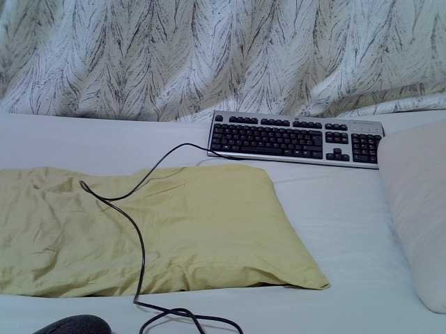 Ebonymonroe1 live cam on BongaCams