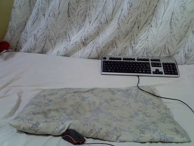 Ebonymonroe1 live cam on BongaCams
