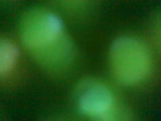 Cumstainz