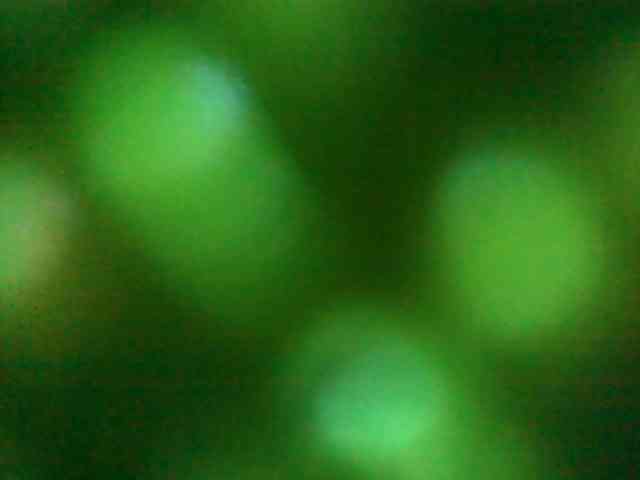 Cumstainz Sex Cam Show