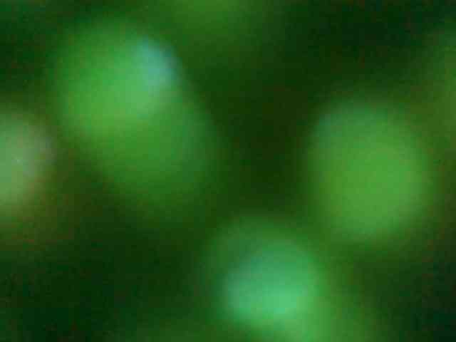 Cumstainz Sex Cam Show