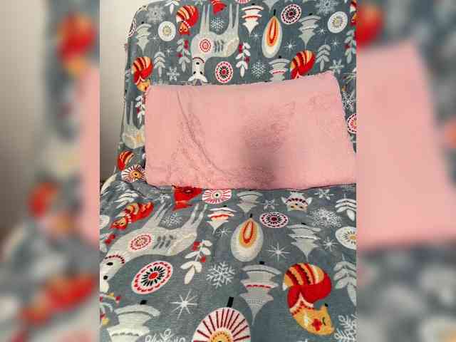 Jujunia webcam