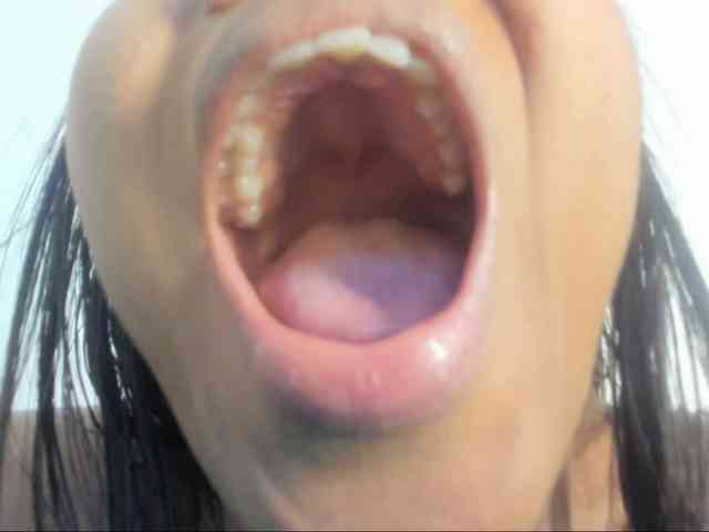 Modelo: Vela_evans