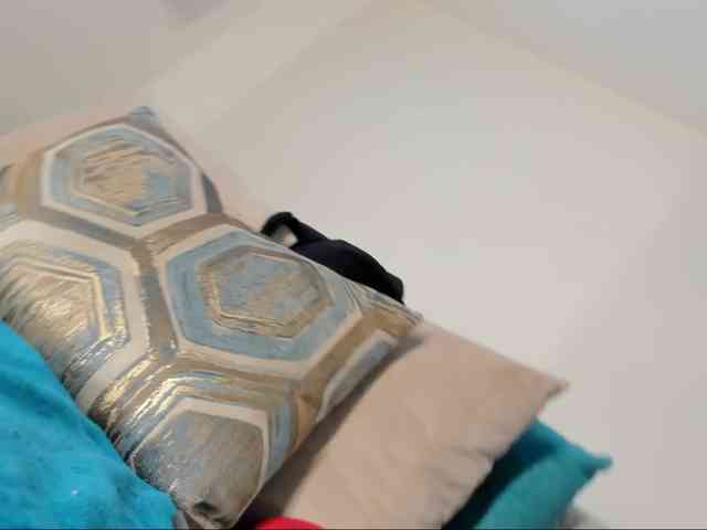 Vela_evans webcam