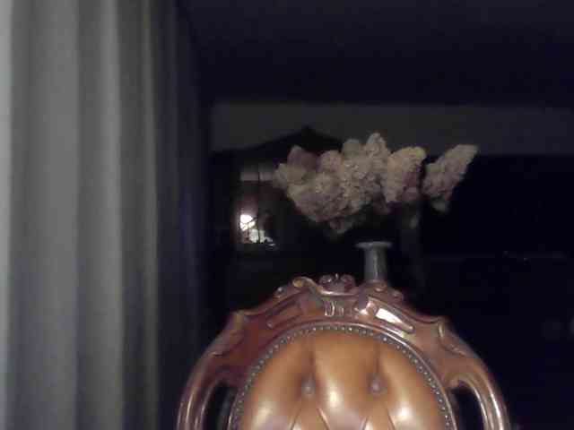 LeaSweet webcam