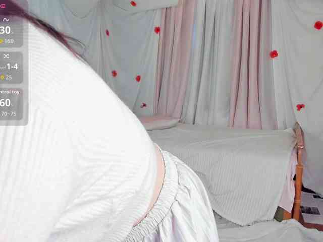 Crazykitta webcam