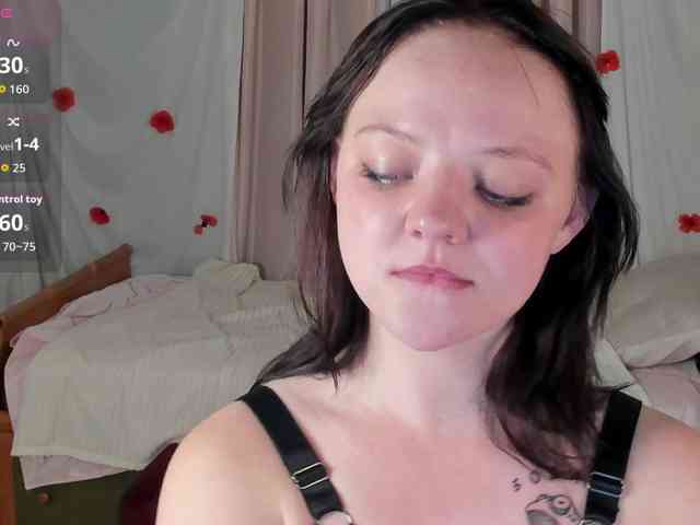 Crazykitta webcam