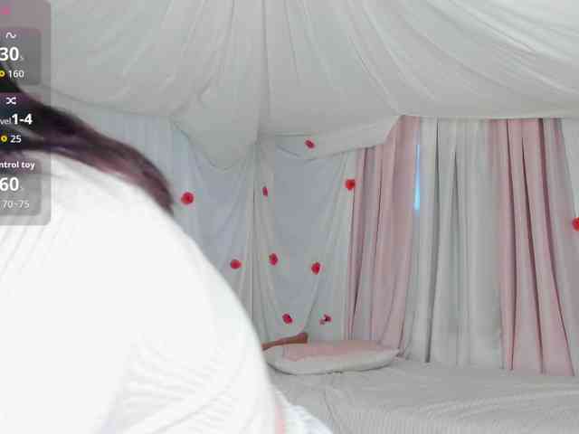 Crazykitta webcam