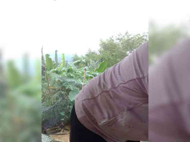 Sophia8 webcam