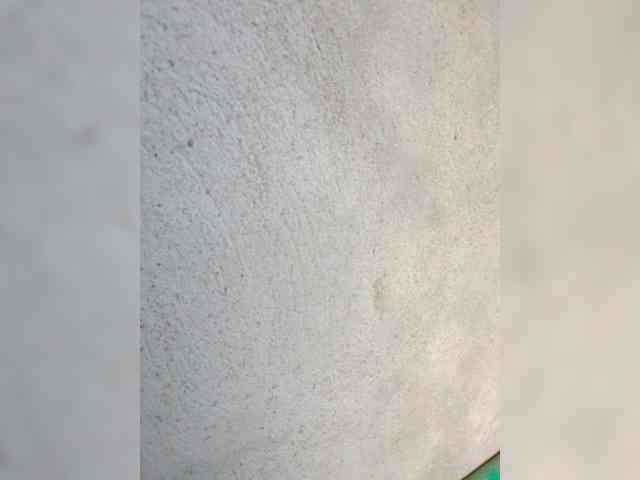 Sophia8 webcam
