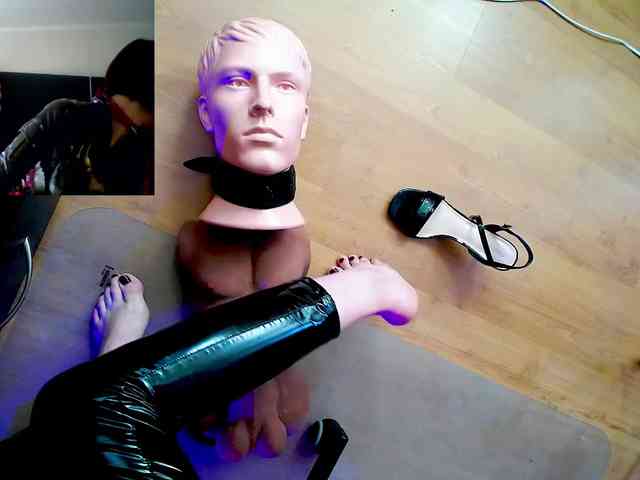 Modelo: PsiVelvet