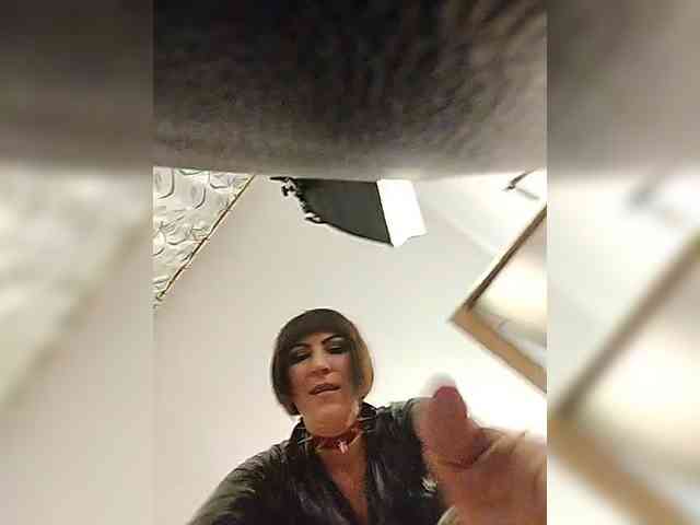 Modelo: PsiVelvet