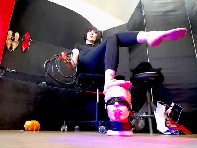 PsiVelvet webcam