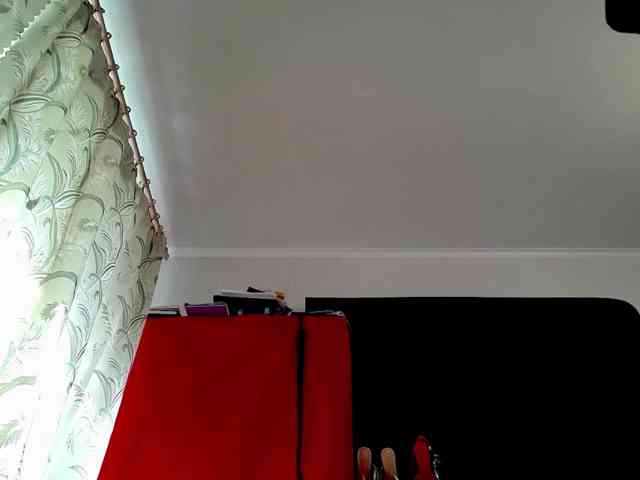 PsiVelvet webcam