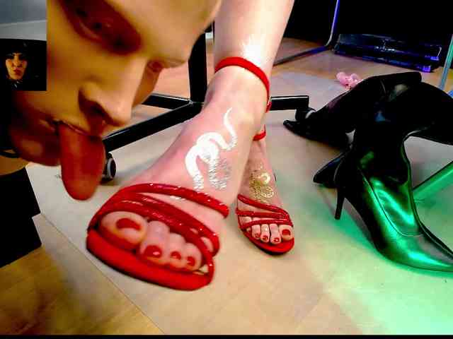 Modelo: PsiVelvet