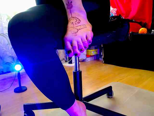 Modelo: PsiVelvet