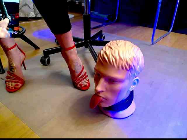 PsiVelvet webcam