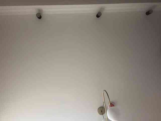 AlbaMihelcic webcam