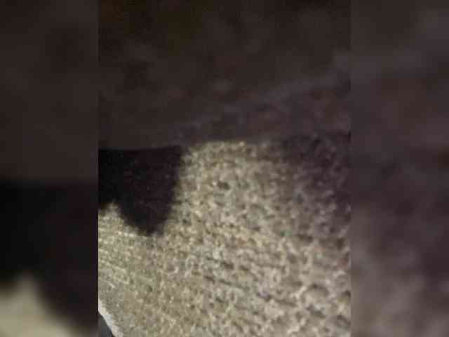 Topnotchxxx77