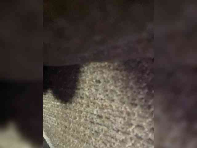 Topnotchxxx77