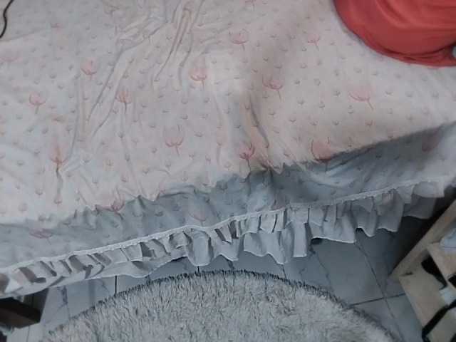 petittegoddess254 live cam preview