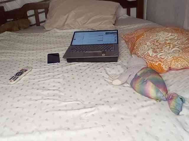 petittegoddess254 webcam