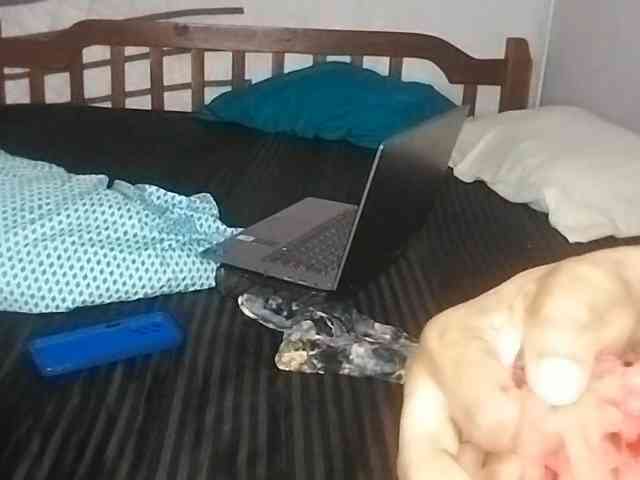 petittegoddess254 petittegoddess254