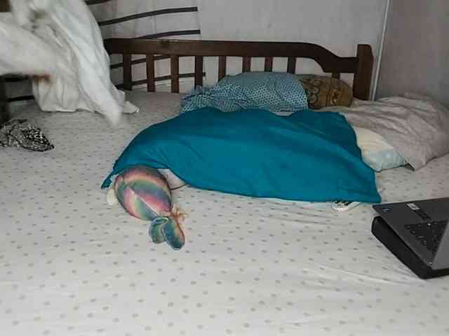 petittegoddess254 webcam