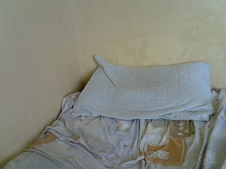 Hotdomina2