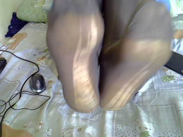 Hotdomina2