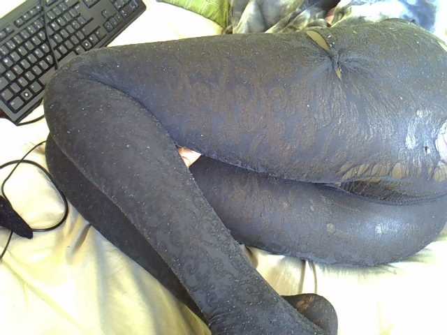 Hotdomina2