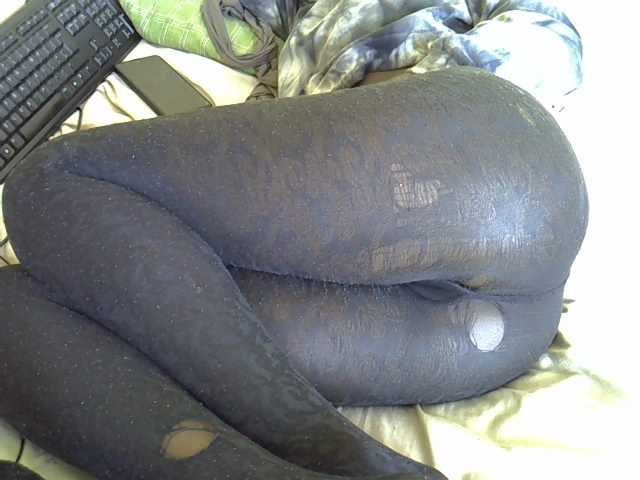 Hotdomina2