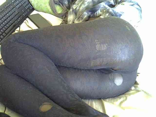 Hotdomina2