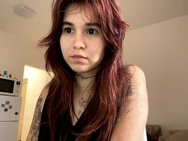 AngelinaVier live cam on BongaCams