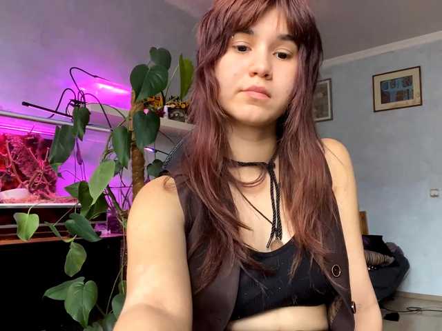 AngelinaVier live cam on BongaCams