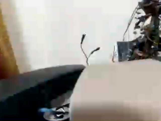 AngelinaVier