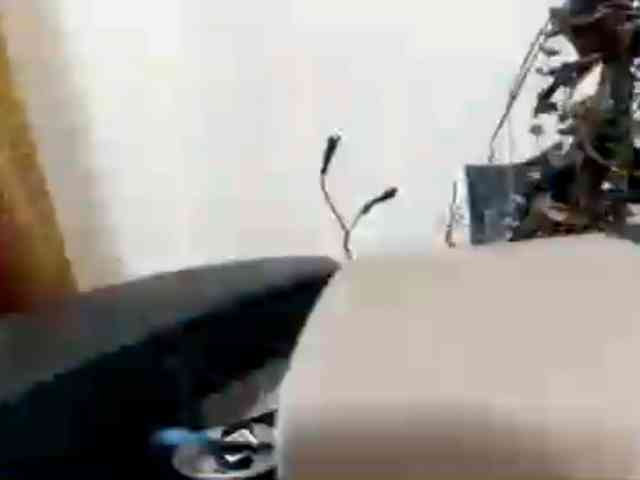 AngelinaVier