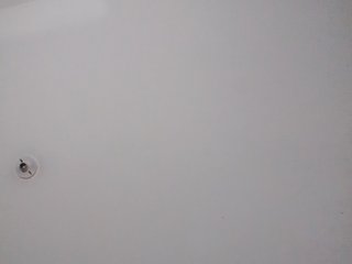 sarafoxxx Porn Show