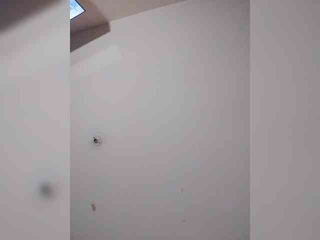 sarafoxxx's live room